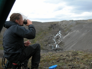 Traitor's cup of tea