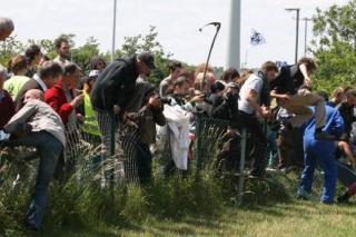 img_5715-jpgmid-592x394