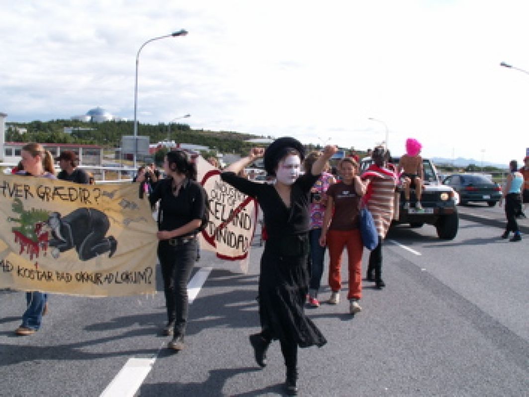 Reykjavik's First Reclaim the Streets