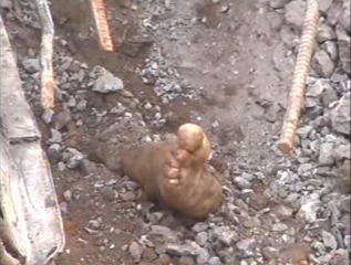 Foot of one of the estimated 100 dead in the rubble at Korba in 2009