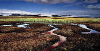 Þjórsárver Wetlands - Photo by RAX: www.rax.is