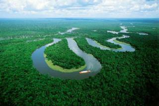 The Amazon River