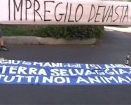 impregilo022.jpg