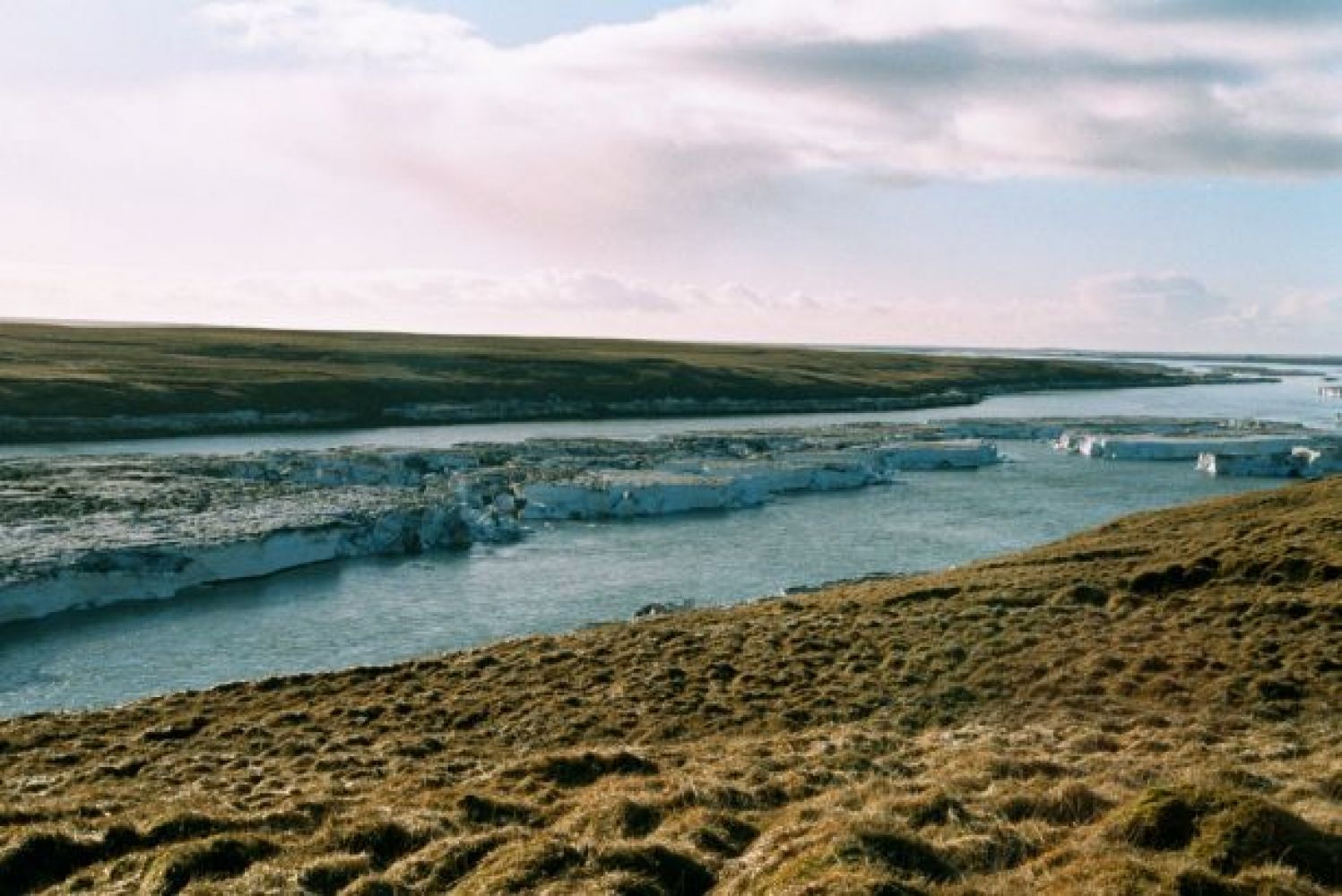 Icebergs on Þjórsá