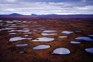 Kringilslarrani - Protected but now submerged