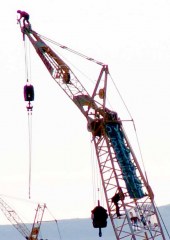 crane high contrastred.jpg