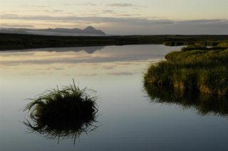 From Þjórsárver Wetlands